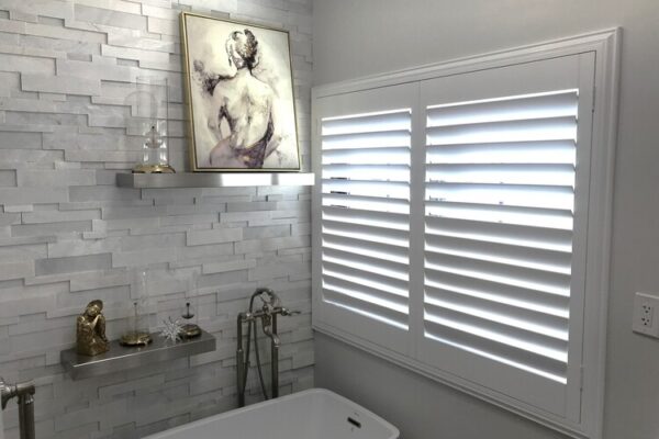 imageedit_4_2262231903